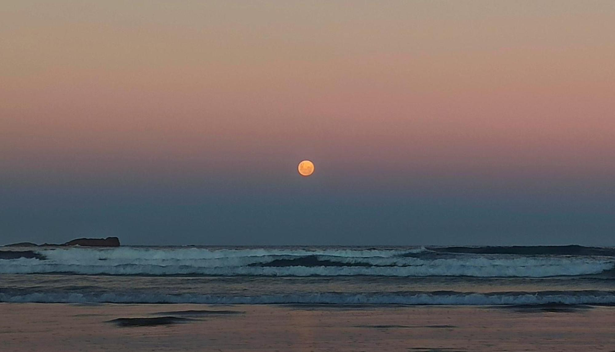 Casa Dos Ventos Hospedagem Praia Do Rosa Eksteriør bilde